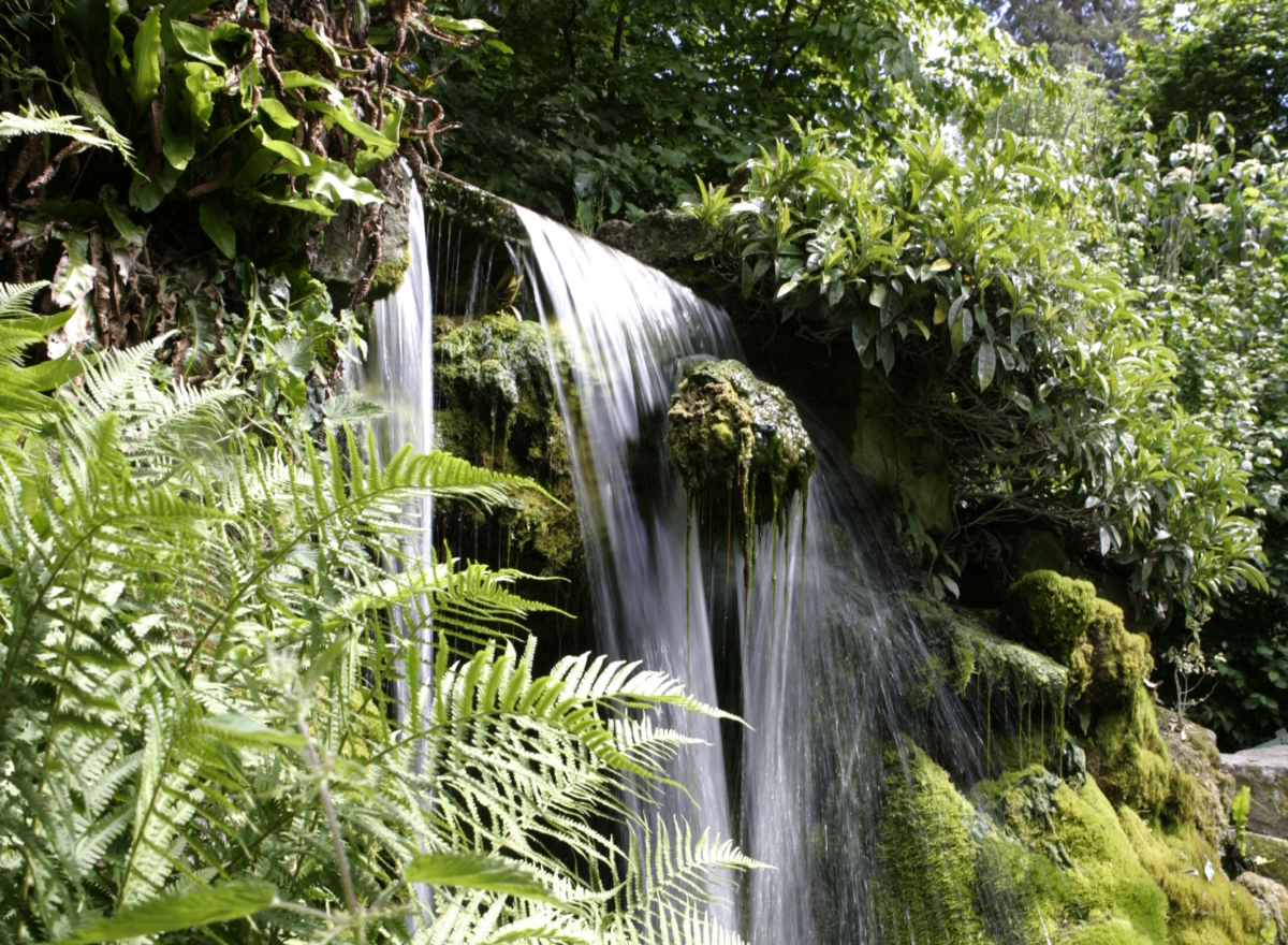 A waterfall, surrounded by greenery