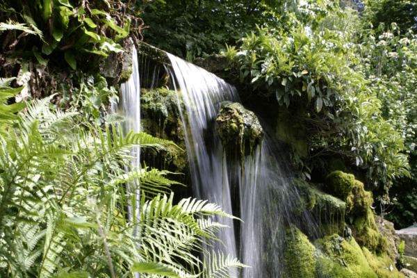 A waterfall, surrounded by greenery