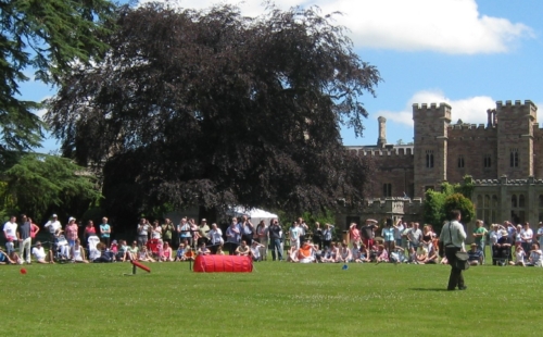 A crowd of people sitting on the grass in front of Hampton Court Castle