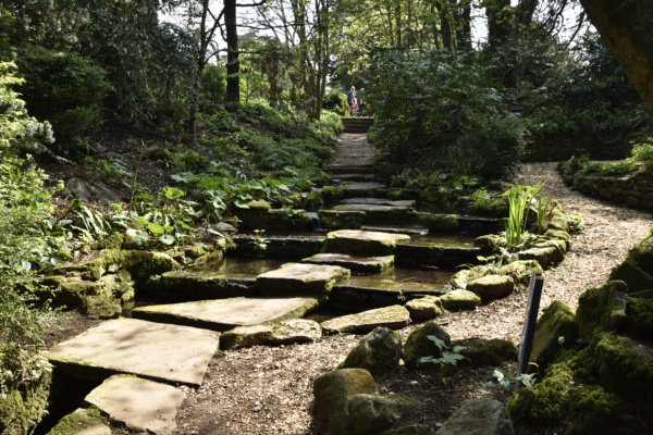 A stone path leading down a slope, water on either side