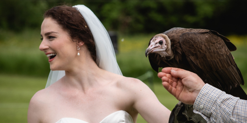 Bride holding vulture